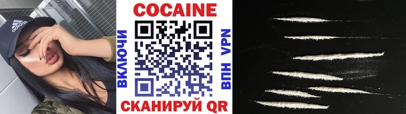 Cocaine Fish Scale  Купить закладки  Кашин 