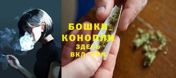 ешки Верхний Тагил