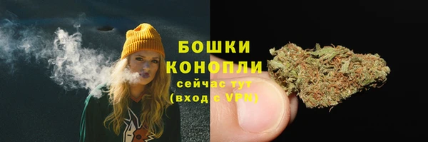 ешки Верхний Тагил
