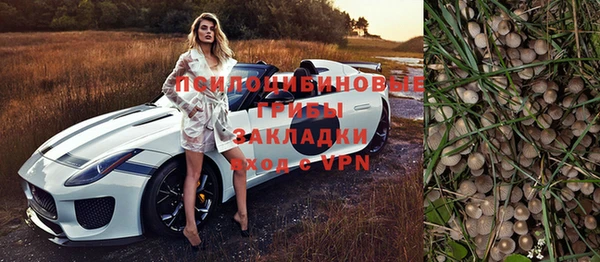 ешки Верхний Тагил