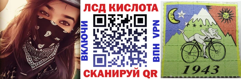 Купить где  Кашин  Марки NBOMe 1,8мг 